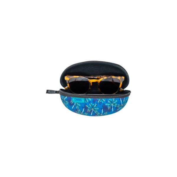 31100387_TransporterLTD_PalmTrees_WithGlasses.jpg