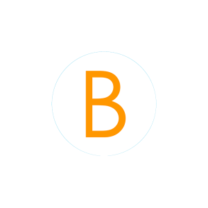 Bogg Bit - Initial B