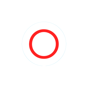 Bogg Bit - Initial O