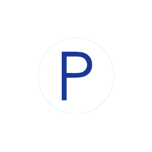 Bogg Bit - Initial P