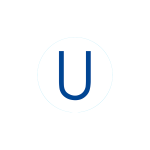 Bogg Bit - Initial U