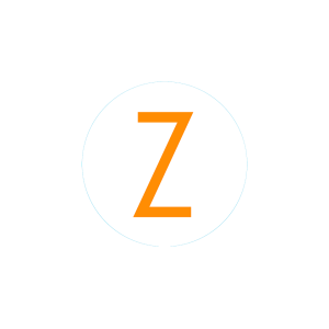Bogg Bit - Initial Z