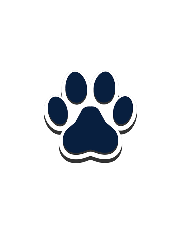 BIT02_PAW01_A.png
