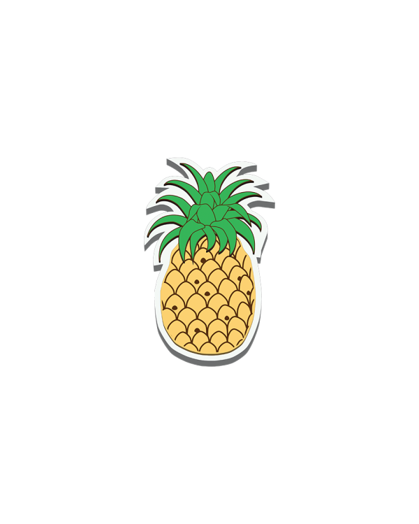 BIT02_PIN01_A.png