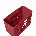 BRG100000_ALA_C.png