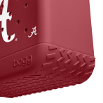 BRG100000_ALA_E.png