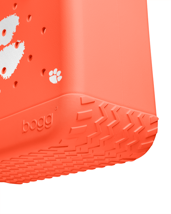 BRG100000_CLEM_E.png