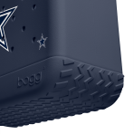 BRG100000_DAL_E.png