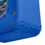 BRG100000_FLA_E.png