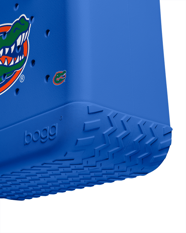 BRG100000_FLA_E.png