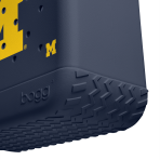 BRG100000_MICH_E.png
