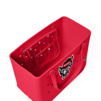 BRG100000_NCST_C.png