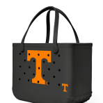 BRG100000_TENN_B.png