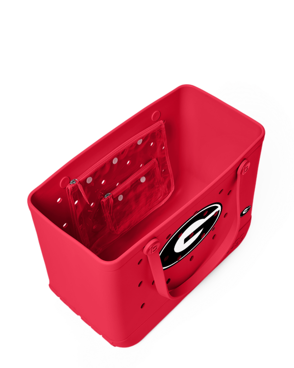 BRG100000_UGA_C.png
