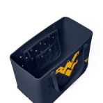BRG100000_WVU_C.png